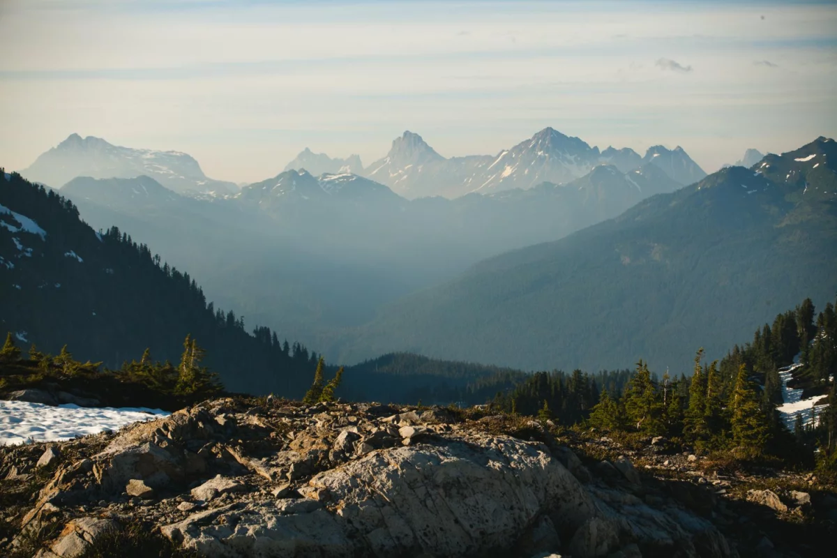 Radzimy jak pójść do restauracji skuteczniej