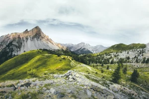 Teraz I Ty Też Możesz założyć panele słoneczne w wielkopolskim Nawet Jeśli Nie Masz O Tym Zielonego Pojęcia