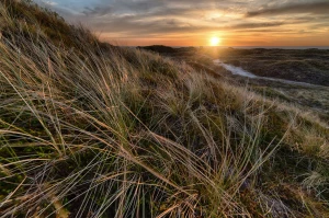 Jakie meble na event