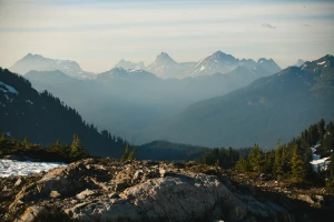 Ja Też Kiedyś Chciałem reklamować. Nie Wychodziło Mi Zanim Znalazłem TO